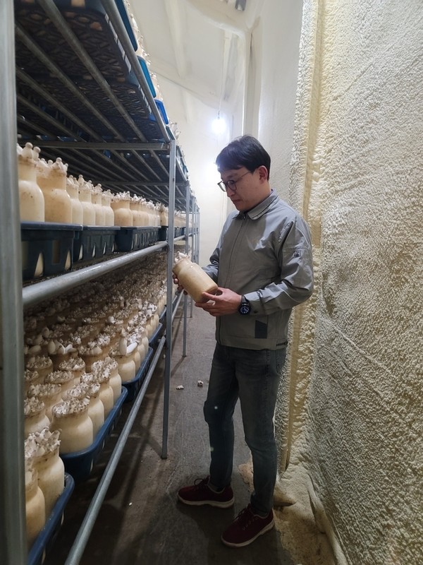 이상현 대표가 버섯 생육실에서 배양용기에서 자라는 버섯을 살펴보고 있다.
