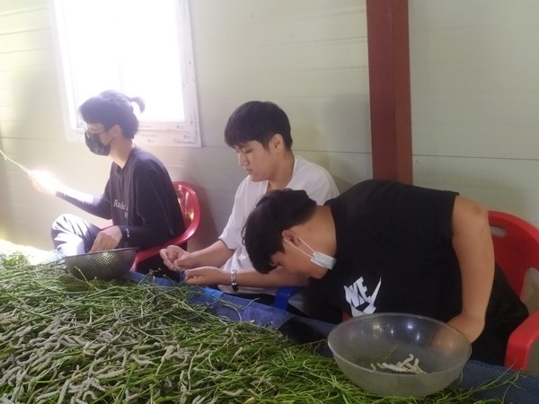 충북생명산업고등학교 실습 농가로 지정된 주오누이 농장에서 학생들이 실습을 하고 있다.